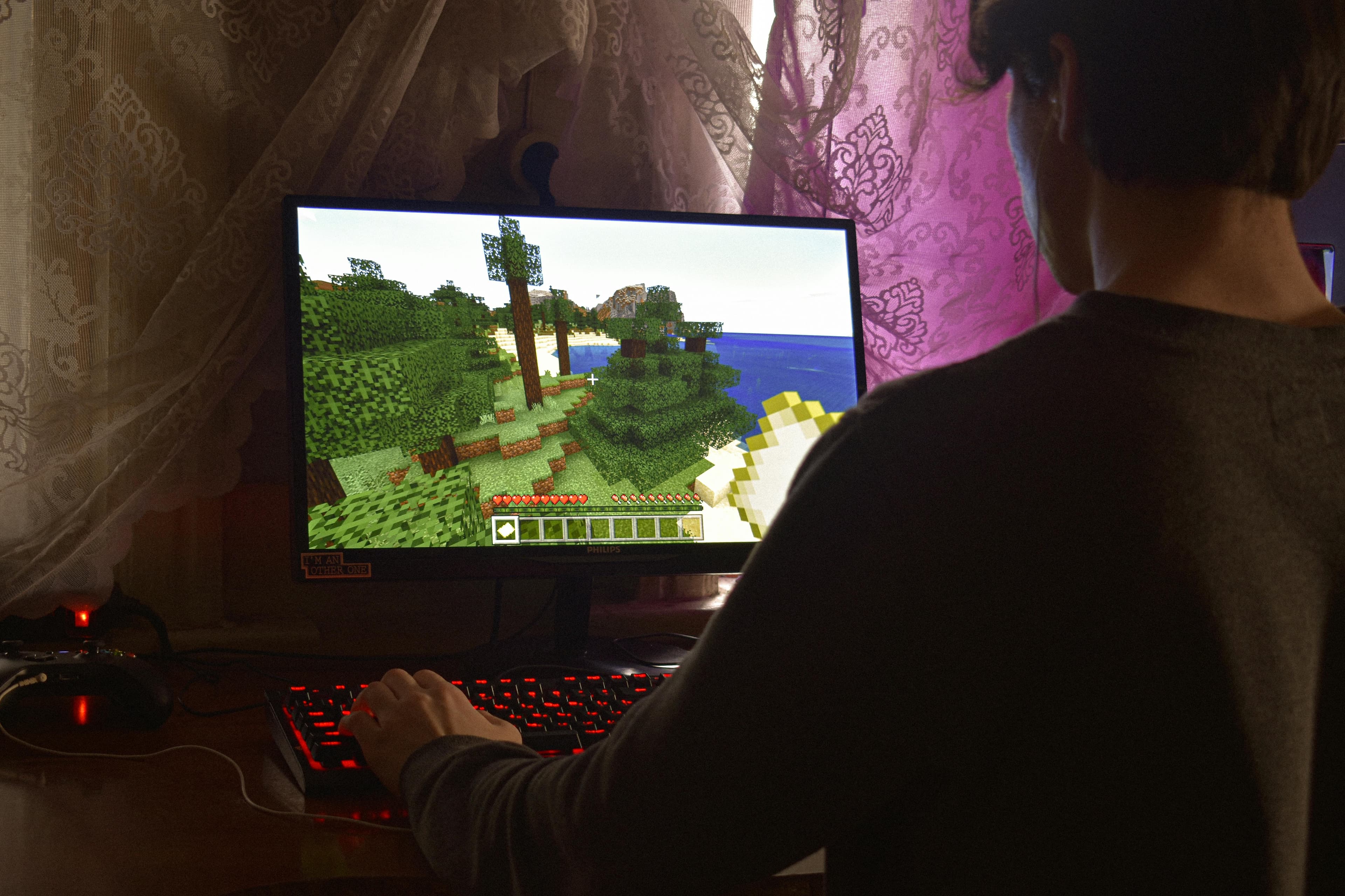 Worked on a Minecraft server